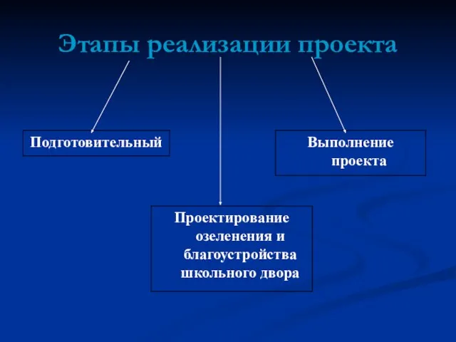 Этапы реализации проекта