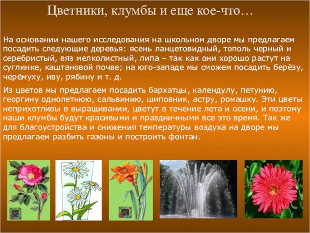 Цветники, клумбы и еще кое-что… На основании нашего исследования на школьном