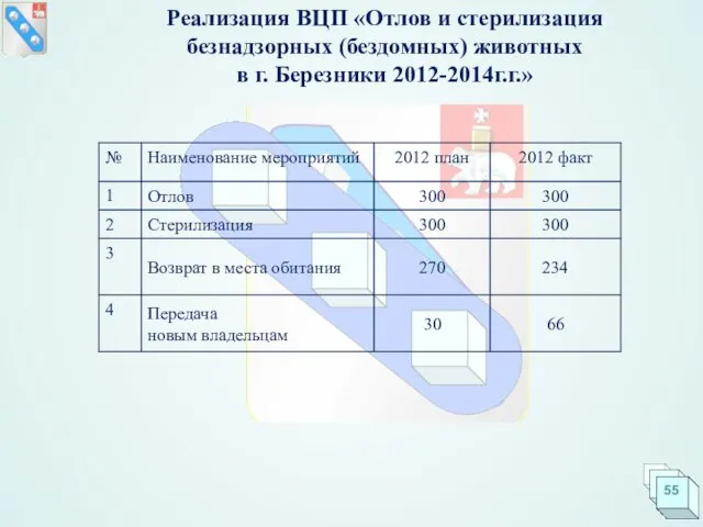 Реализация ВЦП «Отлов и стерилизация безнадзорных (бездомных) животных в г. Березники 2012-2014г.г.»