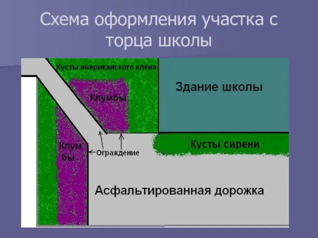 Схема оформления участка с торца школы