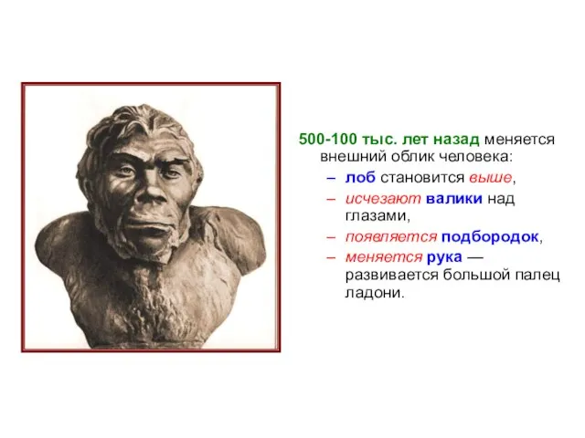 500-100 тыс. лет назад меняется внешний облик человека: лоб становится выше,
