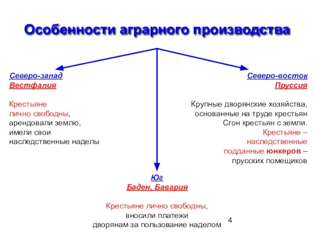 Особенности аграрного производства Северо-запад Вестфалия Крестьяне лично свободны, арендовали землю, имели