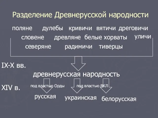 Разделение Древнерусской народности поляне древляне дреговичи радимичи вятичи кривичи словене дулебы