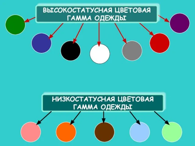 ВЫСОКОСТАТУСНАЯ ЦВЕТОВАЯ ГАММА ОДЕЖДЫ НИЗКОСТАТУСНАЯ ЦВЕТОВАЯ ГАММА ОДЕЖДЫ