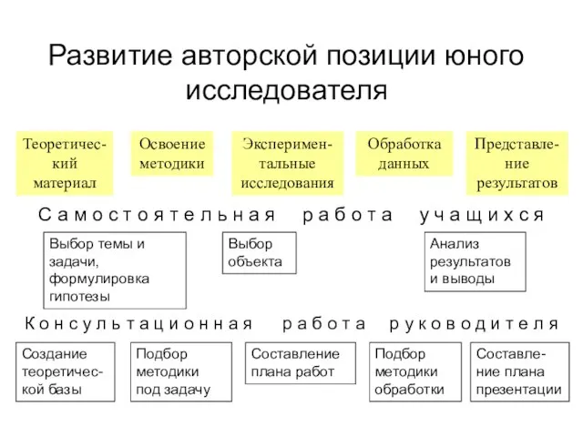 Развитие авторской позиции юного исследователя Теоретичес-кий материал Освоение методики Эксперимен-тальные исследования