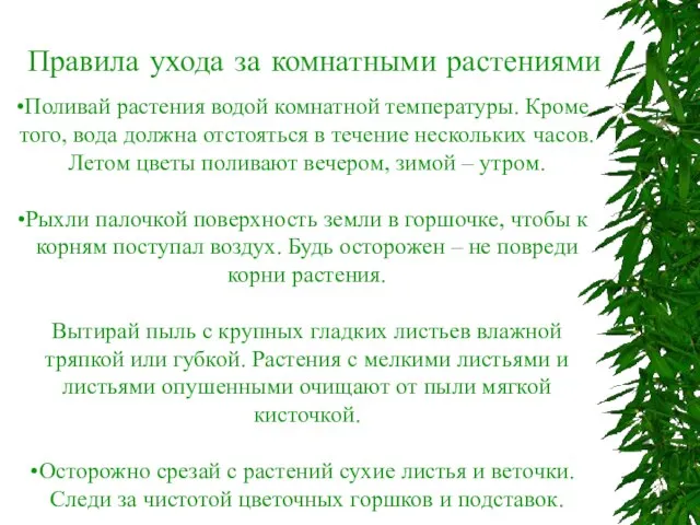 Поливай растения водой комнатной температуры. Кроме того, вода должна отстояться в