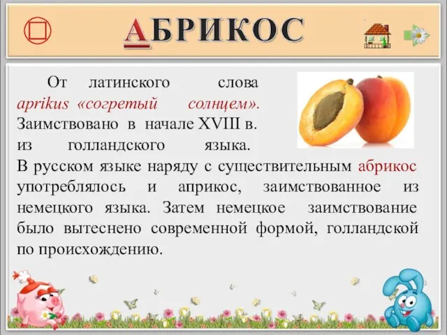 От латинского слова aprikus «согретый солнцем». Заимствовано в начале XVIII в.