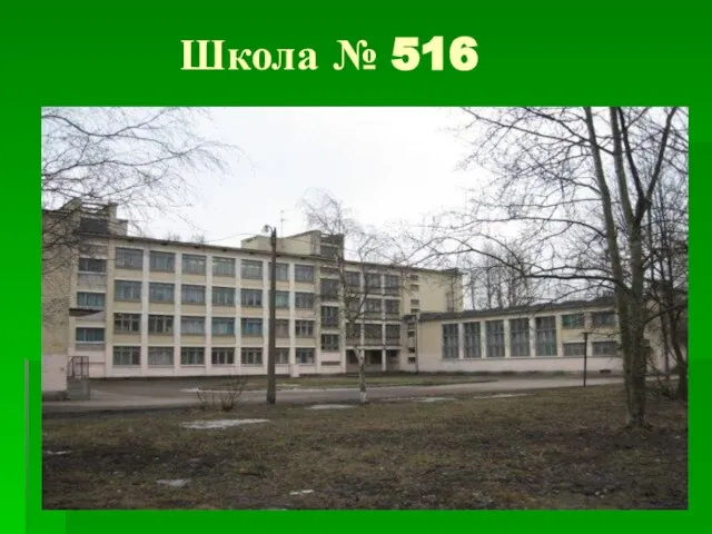 Школа № 516