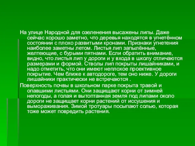 На улице Народной для озеленения высажены липы. Даже сейчас хорошо заметно,