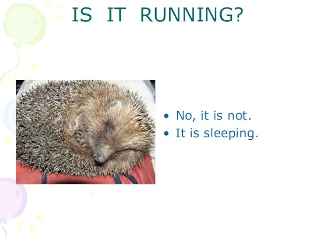 IS IT RUNNING? No, it is not. It is sleeping.