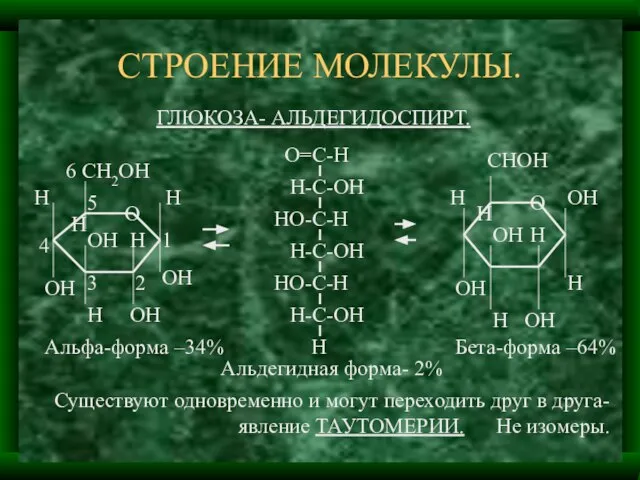 СТРОЕНИЕ МОЛЕКУЛЫ. ГЛЮКОЗА- АЛЬДЕГИДОСПИРТ. О Н ОН Н ОН ОН Н