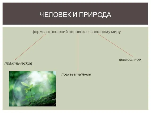 формы отношений человека к внешнему миру ЧЕЛОВЕК И ПРИРОДА практическое познавательное ценностное