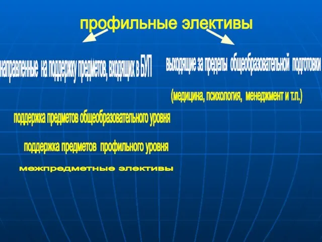 профильные элективы направленные на поддержку предметов, входящих в БУП выходящие за