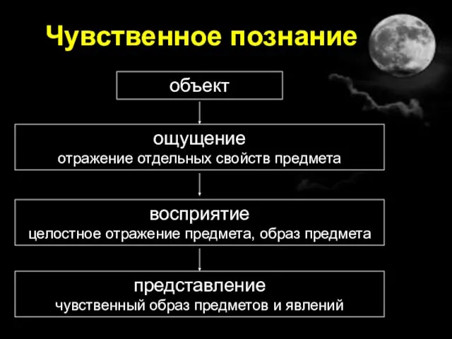 Чувственное познание объект ощущение отражение отдельных свойств предмета представление чувственный образ