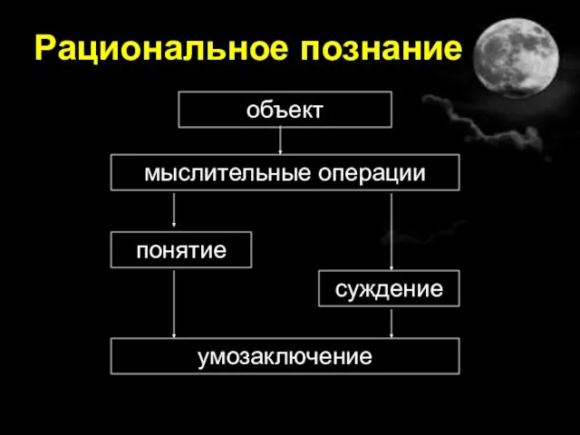 Рациональное познание объект мыслительные операции понятие суждение умозаключение