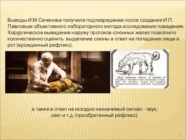 Выводы И.М Сеченова получили подтверждение после создания И.П. Павловым объективного лабораторного