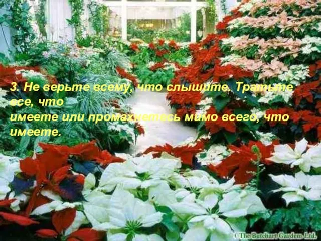 3. Не верьте всему, что слышите. Тратьте все, что имеете или промахнетесь мимо всего, что имеете.