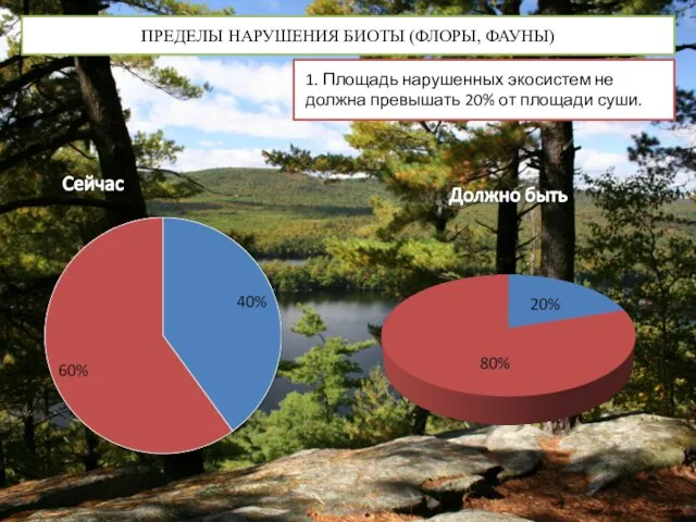 ПРЕДЕЛЫ НАРУШЕНИЯ БИОТЫ (ФЛОРЫ, ФАУНЫ) 1. Площадь нарушенных экосистем не должна превышать 20% от площади суши.