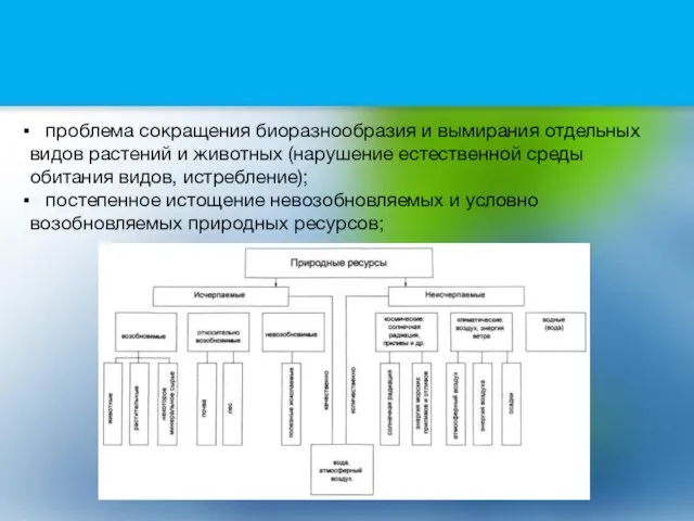 проблема сокращения биоразнообразия и вымирания отдельных видов растений и животных (нарушение