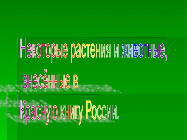 Некоторые растения и животные, внесённые в Красную книгу России.