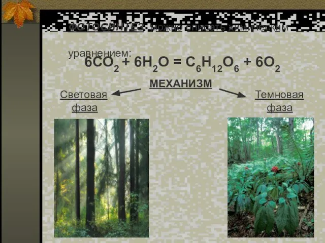 ФОТОСИНТЕЗ можно описать химическим уравнением: 6СО2 + 6Н2О = С6Н12О6 +