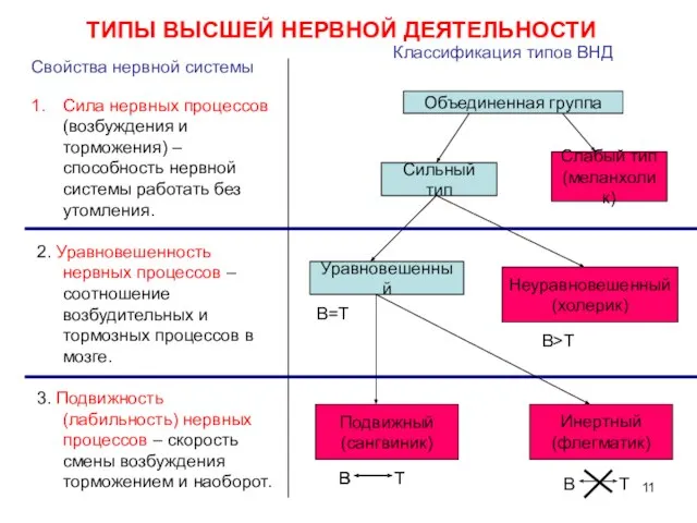 Сила нервных процессов (возбуждения и торможения) – способность нервной системы работать