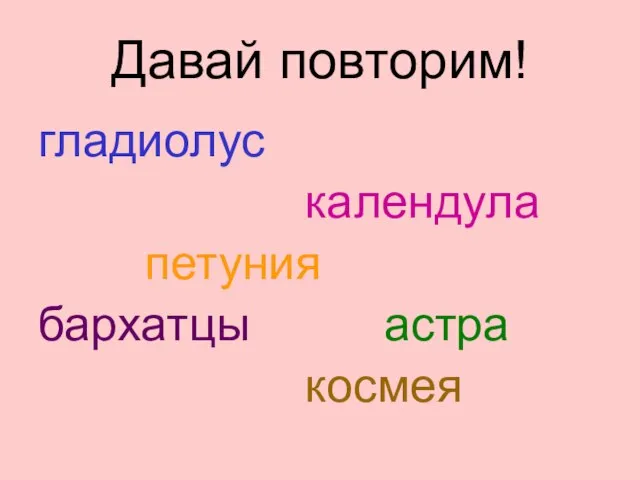 Давай повторим! гладиолус календула петуния бархатцы астра космея