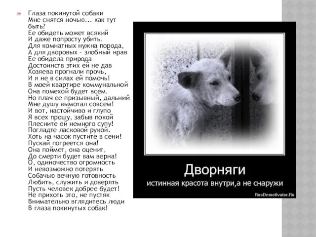 Глаза покинутой собаки Мне снятся ночью... как тут быть? Ее обидеть