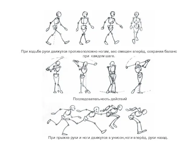 При ходьбе руки движутся противоположно ногам, вес смещен вперёд, сохраняя баланс