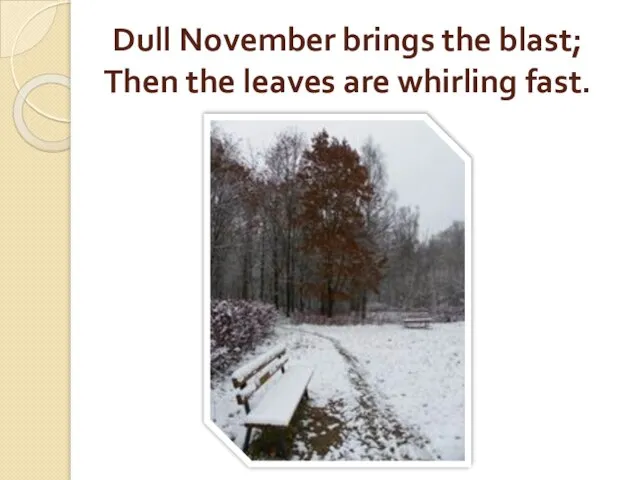 Dull November brings the blast; Then the leaves are whirling fast.