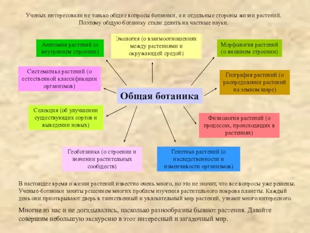 Общая ботаника Анатомия растений (о внутреннем строении) Морфология растений (о внешнем