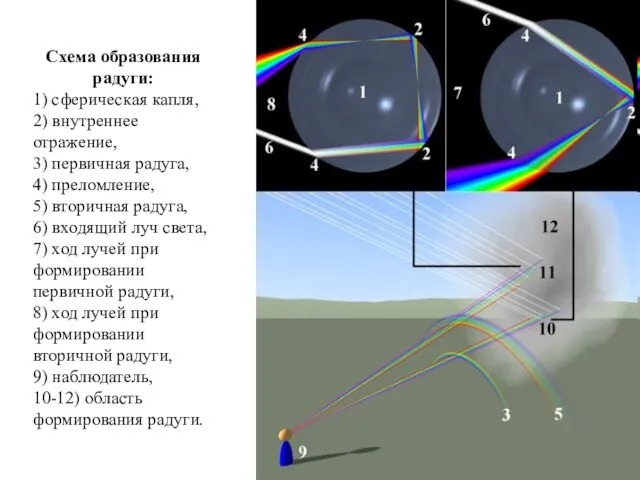 Схема образования радуги: 1) сферическая капля, 2) внутреннее отражение, 3) первичная