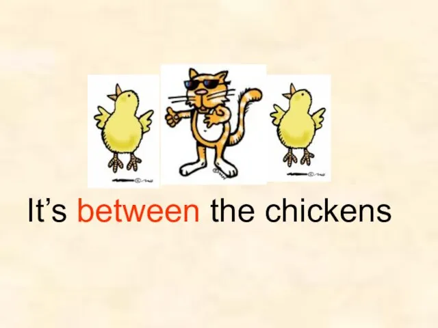 It’s between the chickens