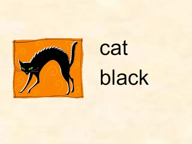 cat black