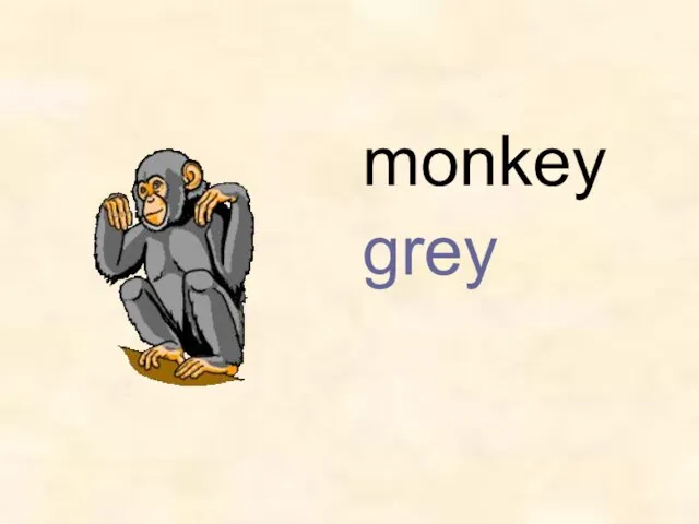 monkey grey