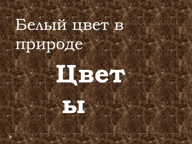 Белый цвет в природе Цветы