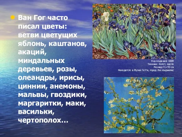 Ван Гог часто писал цветы: ветви цветущих яблонь, каштанов, акаций, миндальных