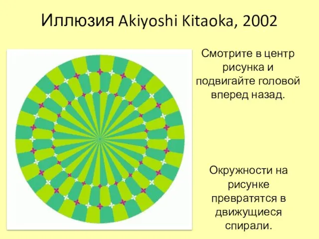 Иллюзия Akiyoshi Kitaoka, 2002 Смотрите в центр рисунка и подвигайте головой