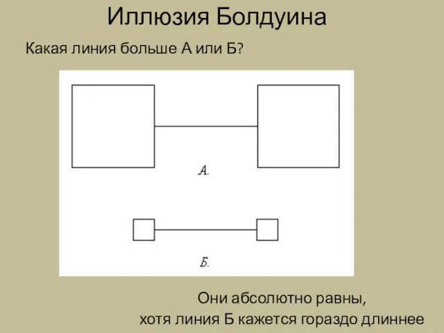 Иллюзия Болдуина Какая линия больше А или Б? Они абсолютно равны,