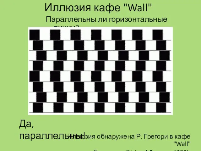 Иллюзия кафе "Wall" Параллельны ли горизонтальные линии? Иллюзия обнаружена Р. Грегори