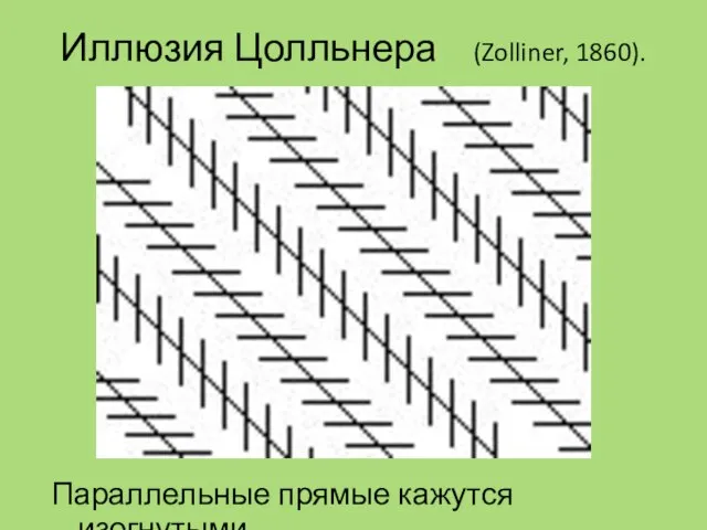 Иллюзия Цолльнера (Zolliner, 1860). Параллельные прямые кажутся изогнутыми.