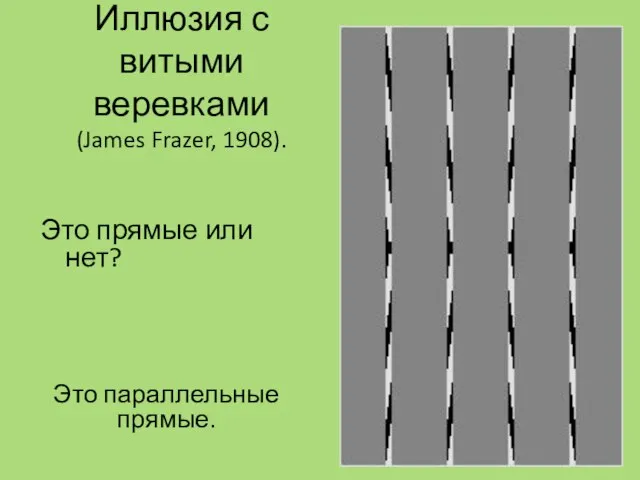 Иллюзия с витыми веревками (James Frazer, 1908). Это прямые или нет? Это параллельные прямые.