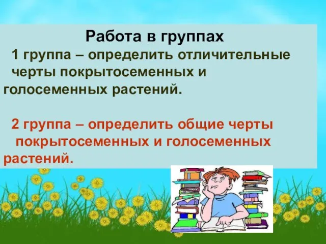 Работа в группах 1 группа – определить отличительные черты покрытосеменных и