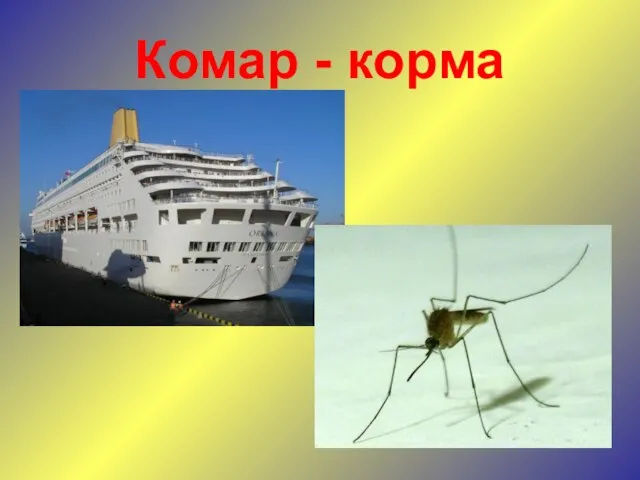 Комар - корма