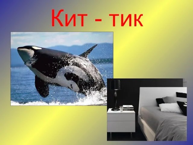 Кит - тик