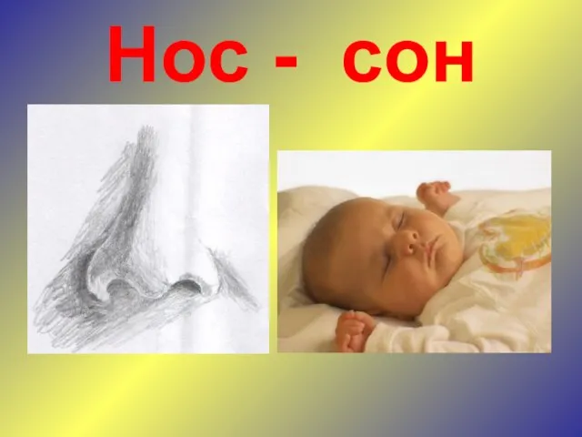 Нос - сон