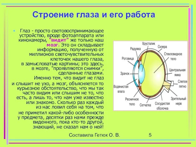 Составила Гетюк О. В. Строение глаза и его работа Глаз -