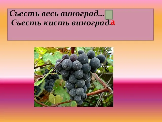 Съесть весь виноград… Съесть кисть виноград… а