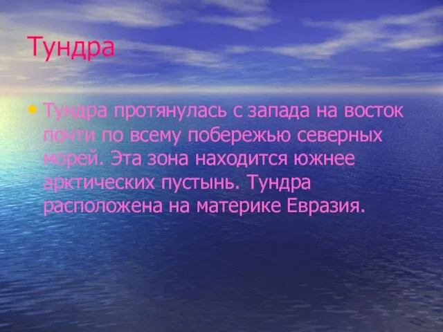 Тундра Тундра протянулась с запада на восток почти по всему побережью