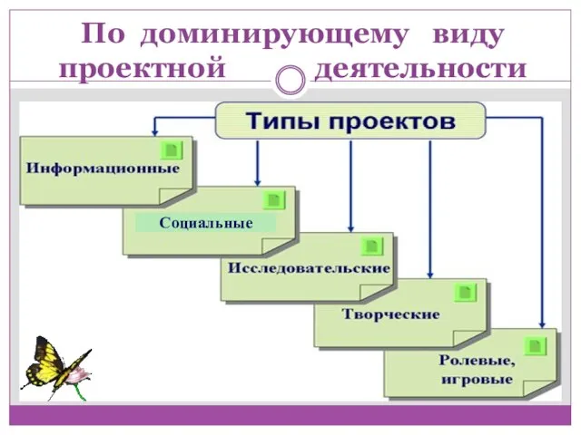 По доминирующему виду проектной деятельности Социальные